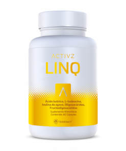 linq-mx